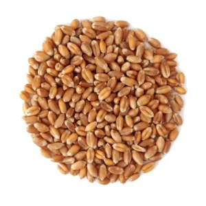 Wheat (Whole Grain)