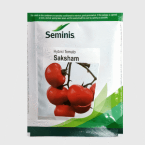 Tomato Hybrid Seeds